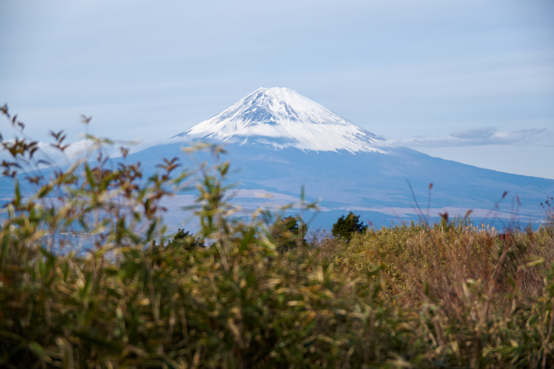 富士山